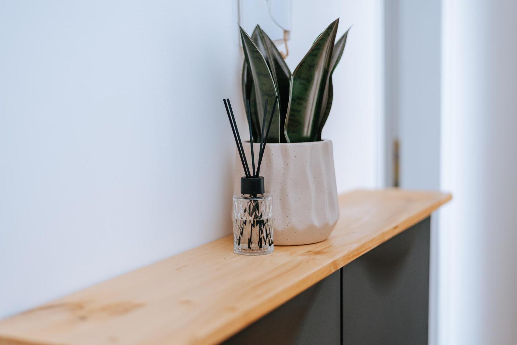 Apartman Vista Daruvar Zewnętrze zdjęcie